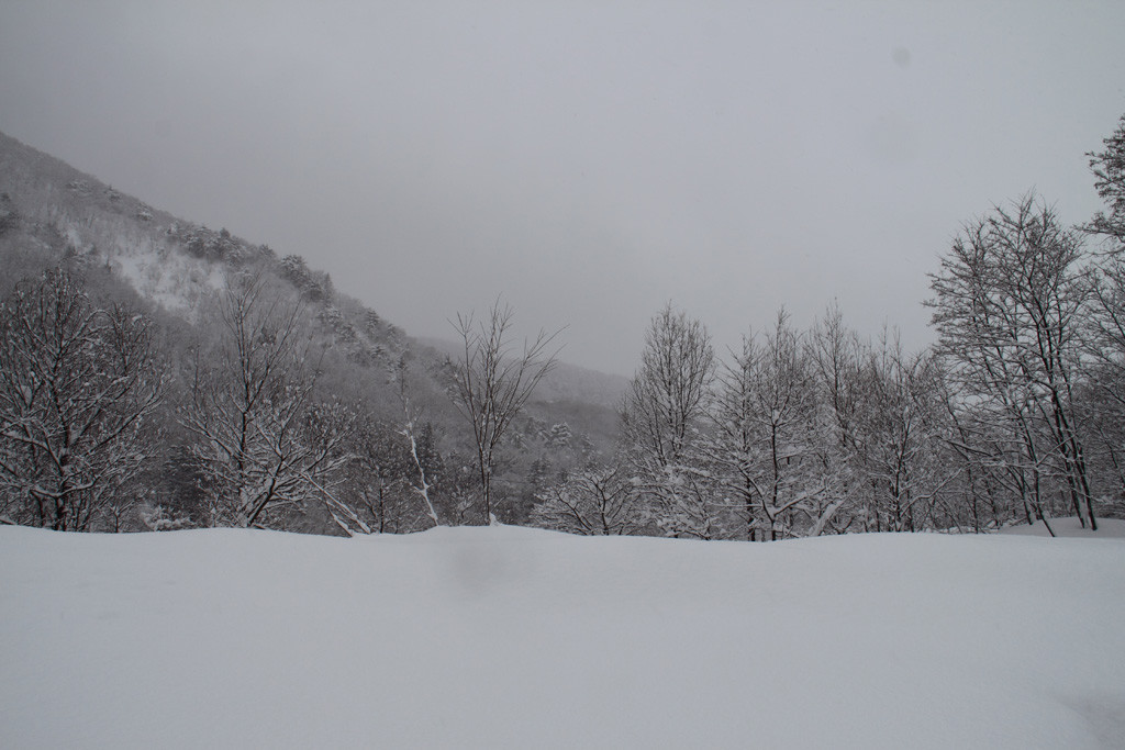 f:id:BCC:20100103083053j:image:w400