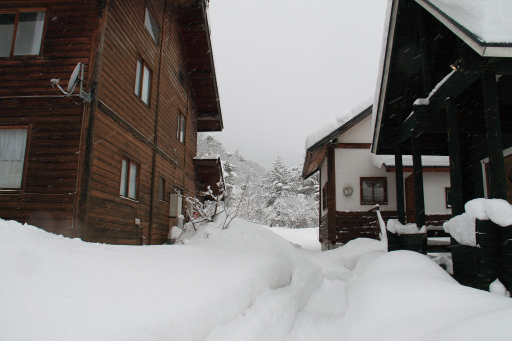 f:id:BCC:20100103083128j:image:w400