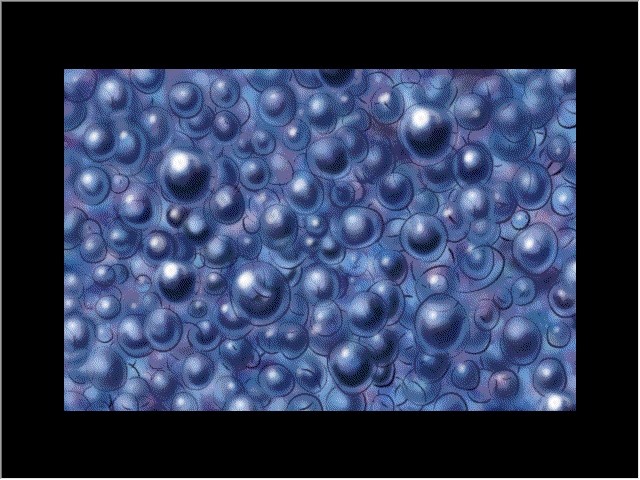 f:id:BCC:20100806205815j:image:w480