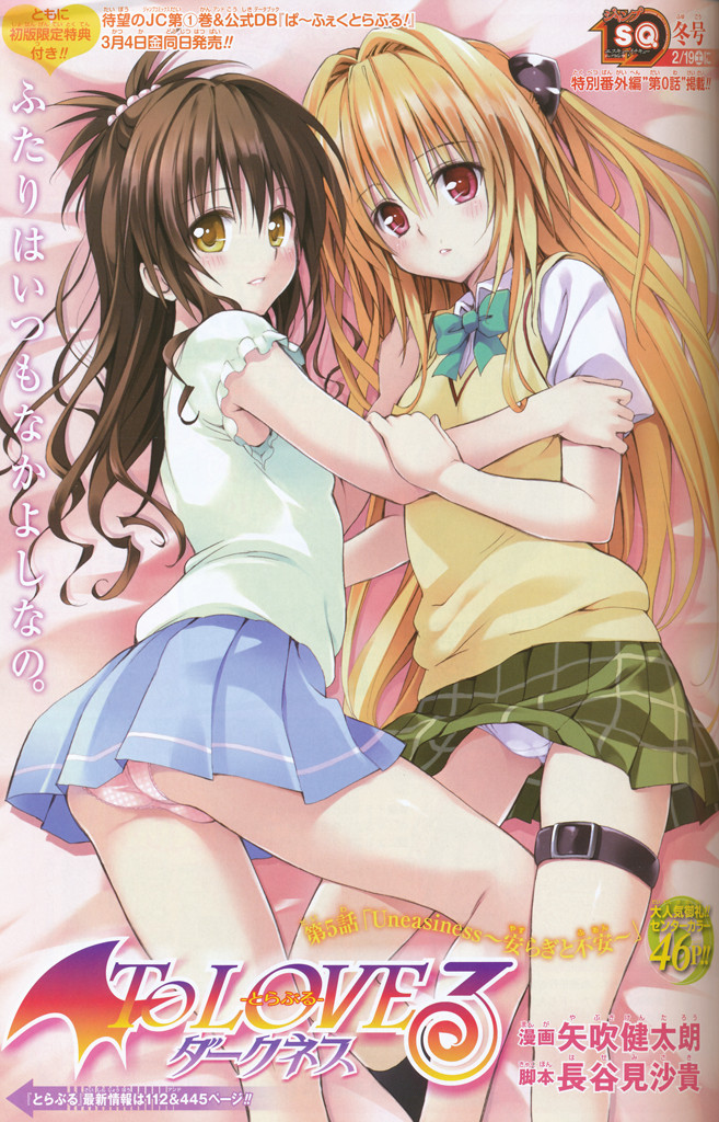f:id:BCC:20110204004359j:image:w480