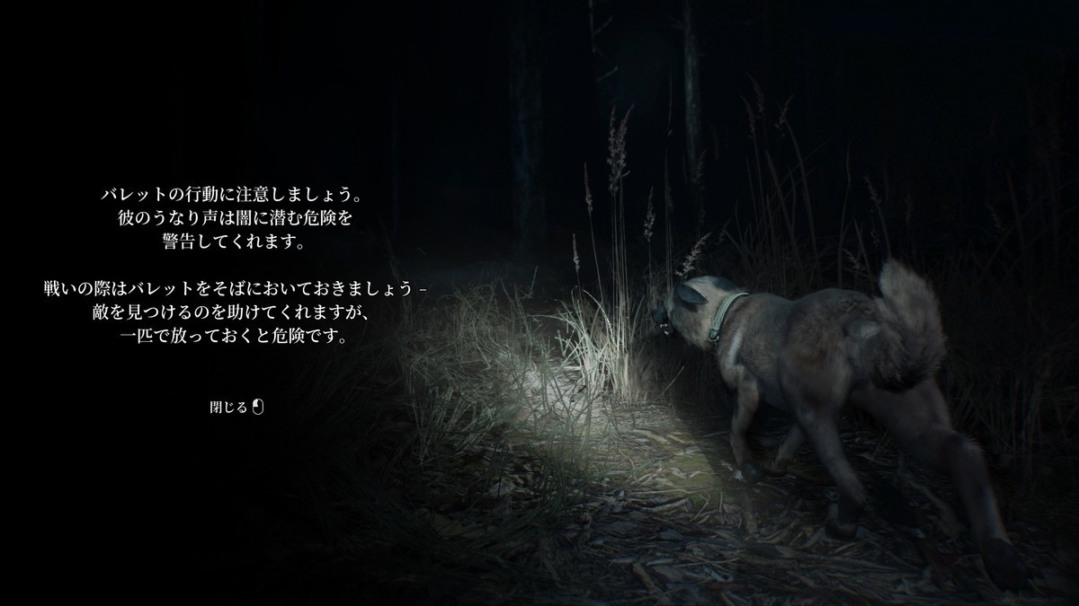 f:id:BCC:20190901143151j:plain