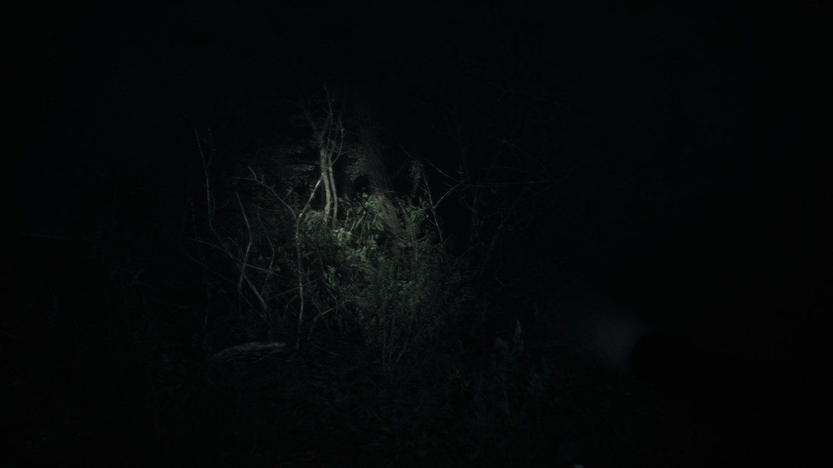 f:id:BCC:20190901143205j:plain