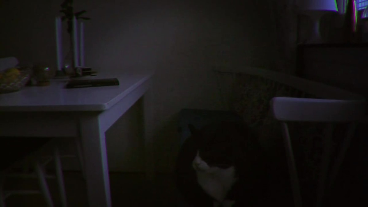 f:id:BCC:20191212211547j:plain f:id:BCC:20191212211547j:plain