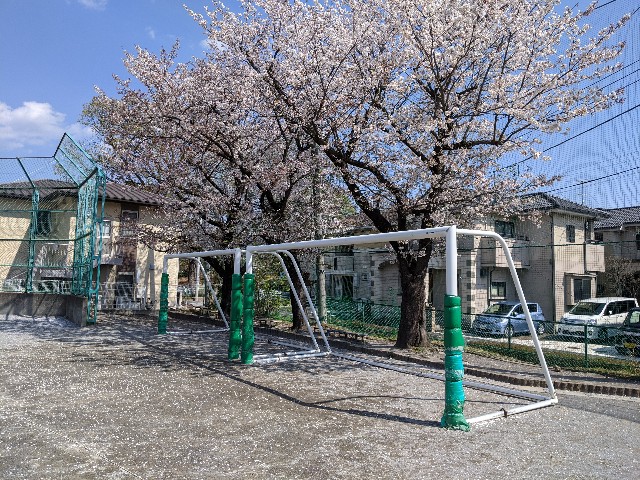f:id:BESSHO:20200404143433j:image