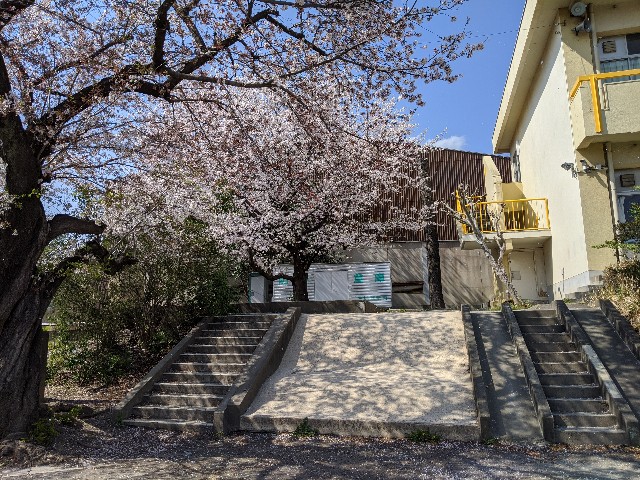 f:id:BESSHO:20200404144014j:image