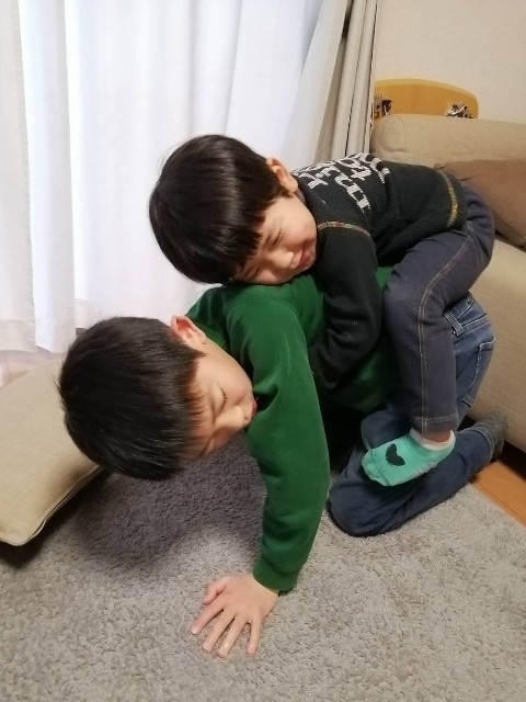 f:id:BESSHO:20200516231614j:image
