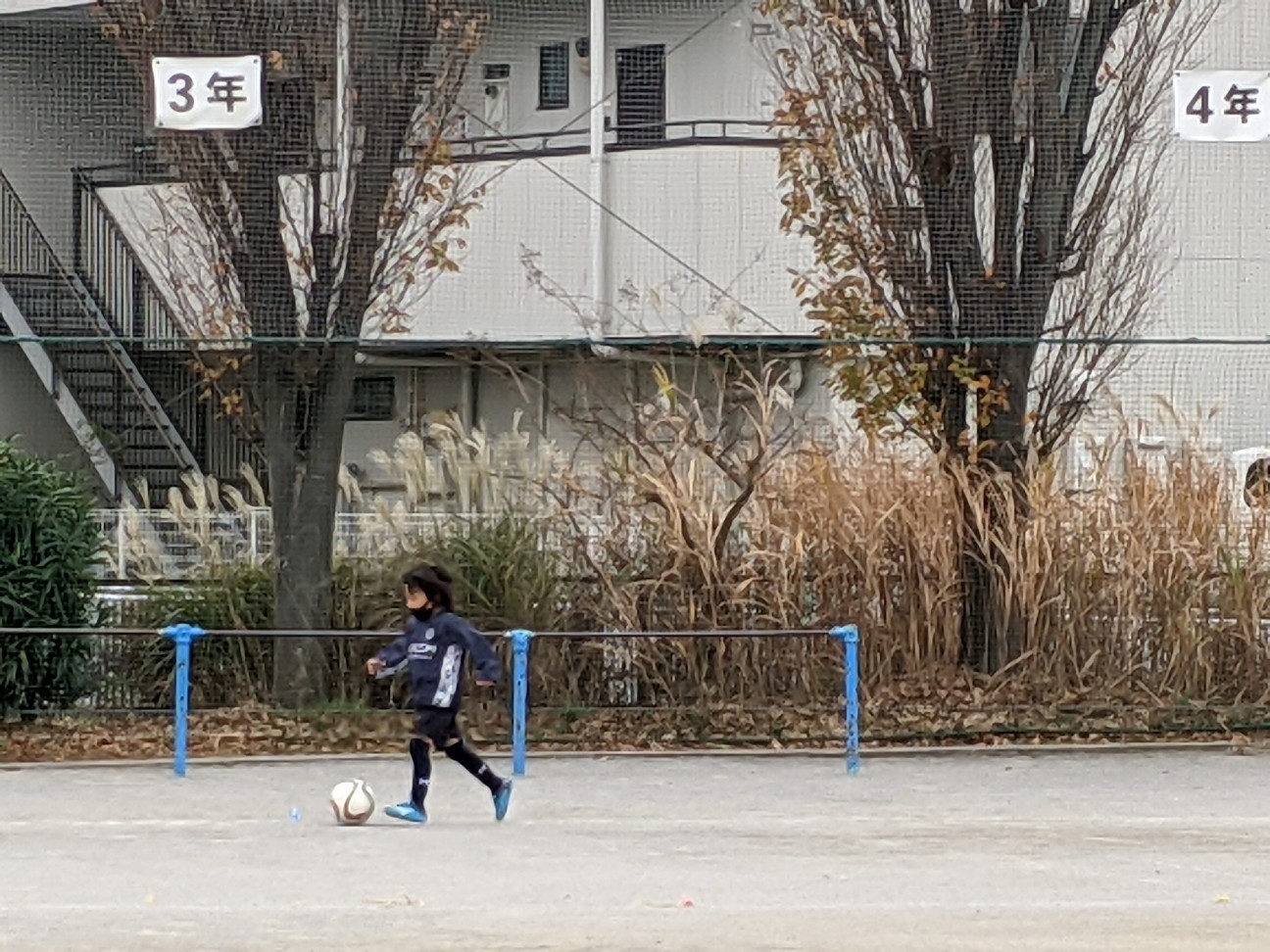 f:id:BESSHO:20201130002306j:image