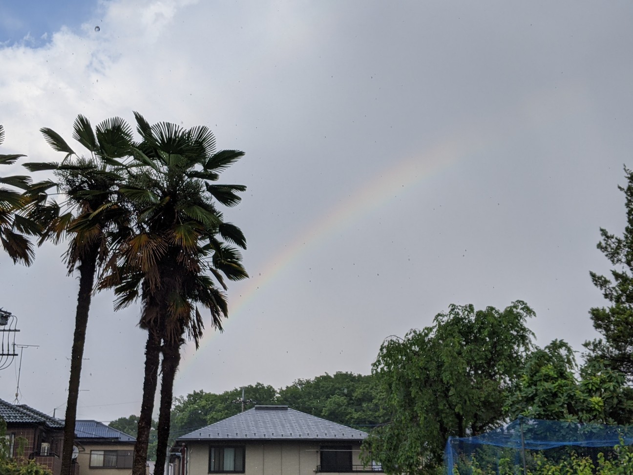 f:id:BESSHO:20210530231134j:image