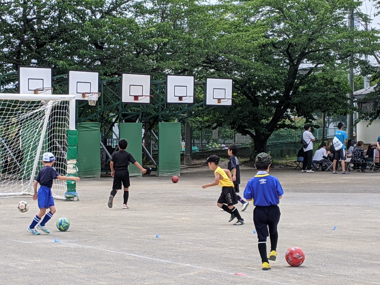 f:id:BESSHO:20210613213034j:image f:id:BESSHO:20210613213034j:image