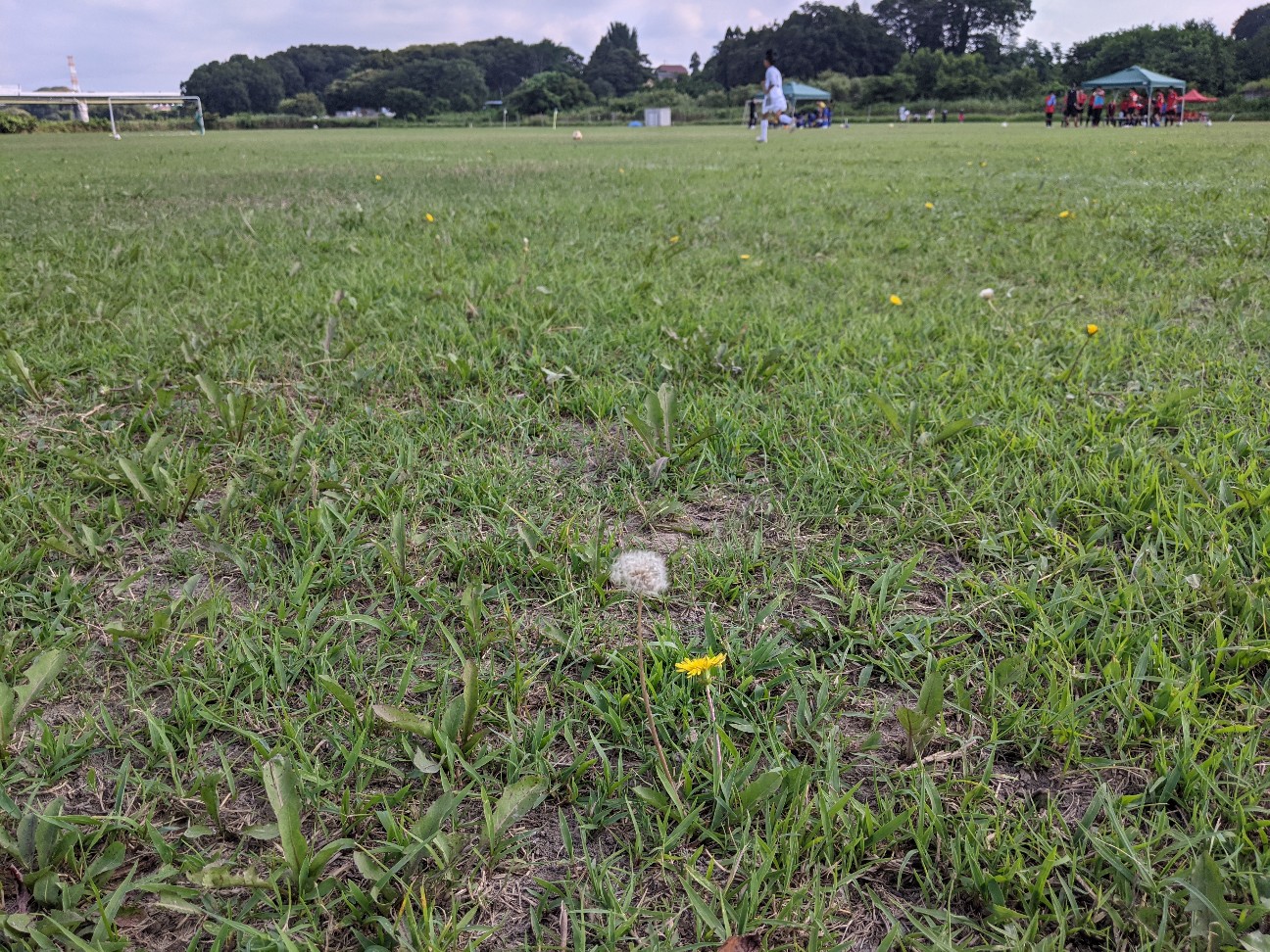 f:id:BESSHO:20210723152320j:image