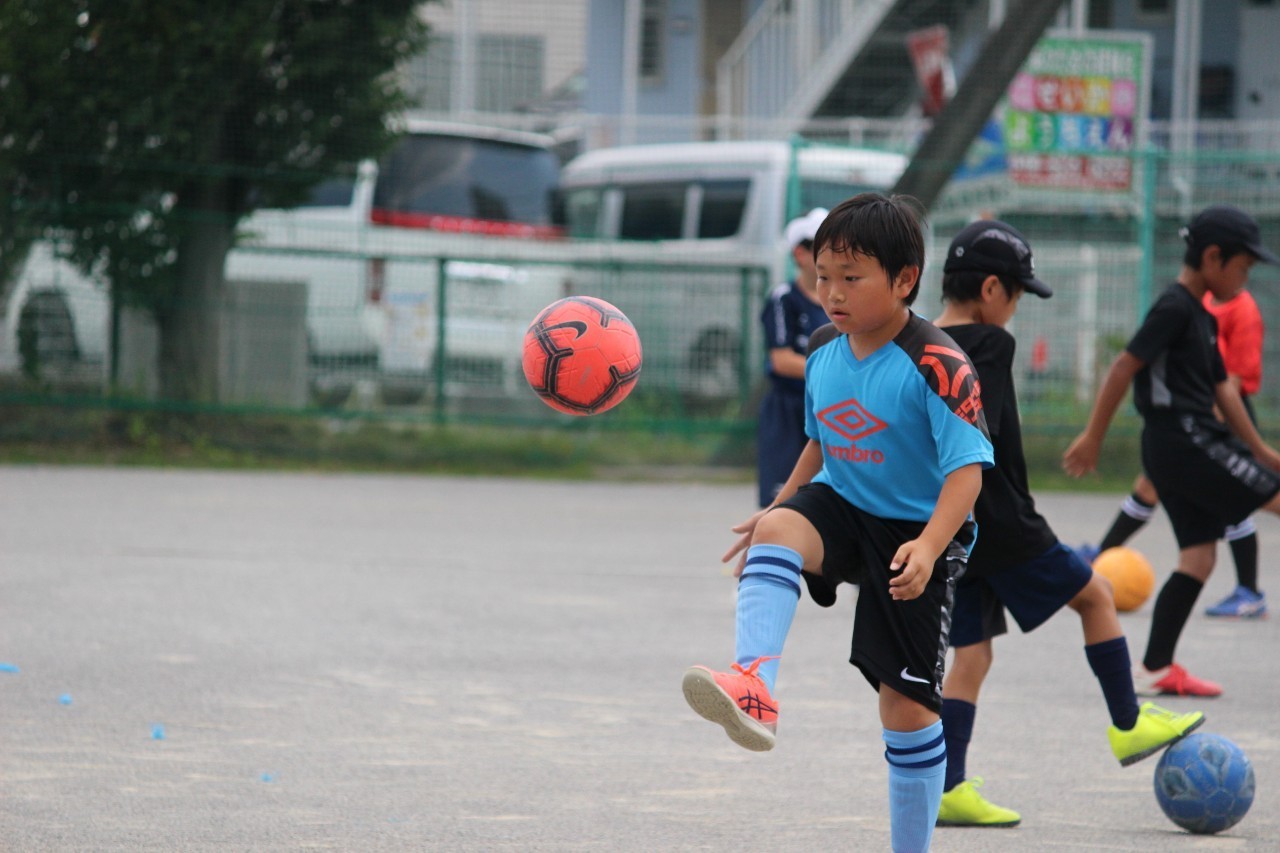 f:id:BESSHO:20210801223303j:image