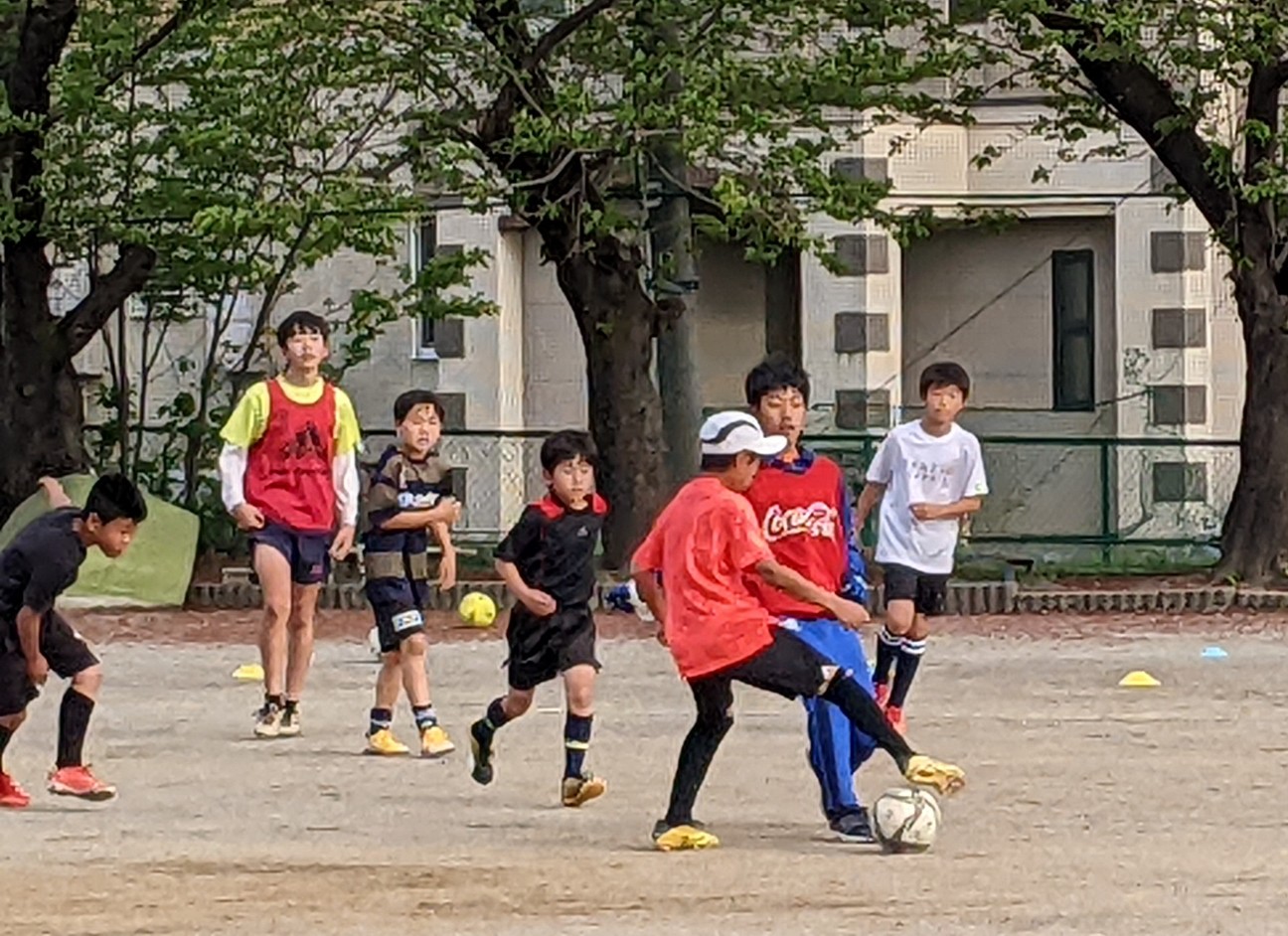 f:id:BESSHO:20220416210951j:image f:id:BESSHO:20220416210951j:image