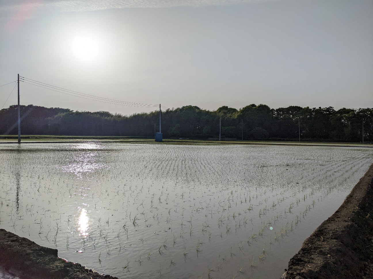 f:id:BESSHO:20220504210542j:image