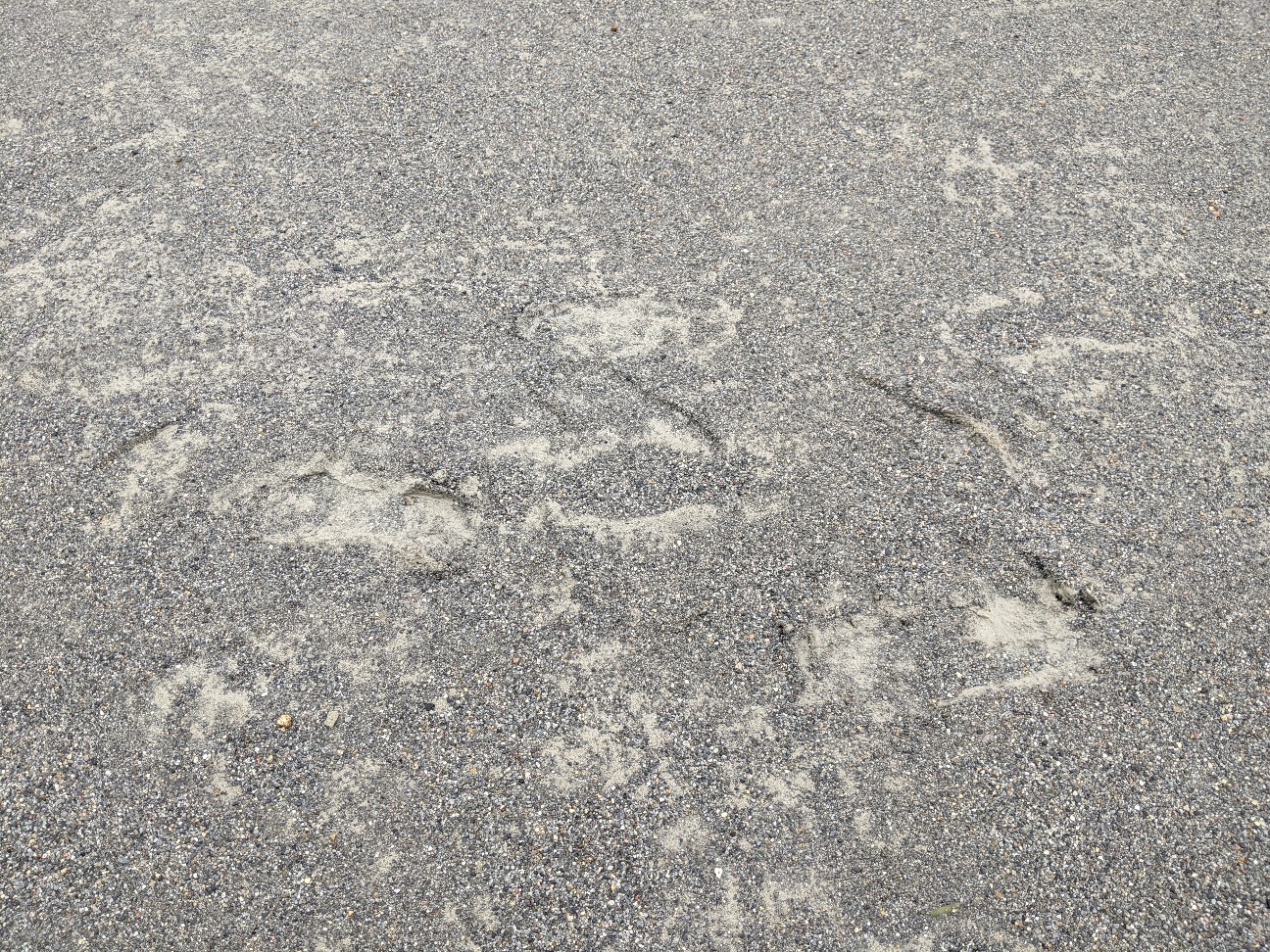 f:id:BESSHO:20220828135322j:image f:id:BESSHO:20220828135322j:image