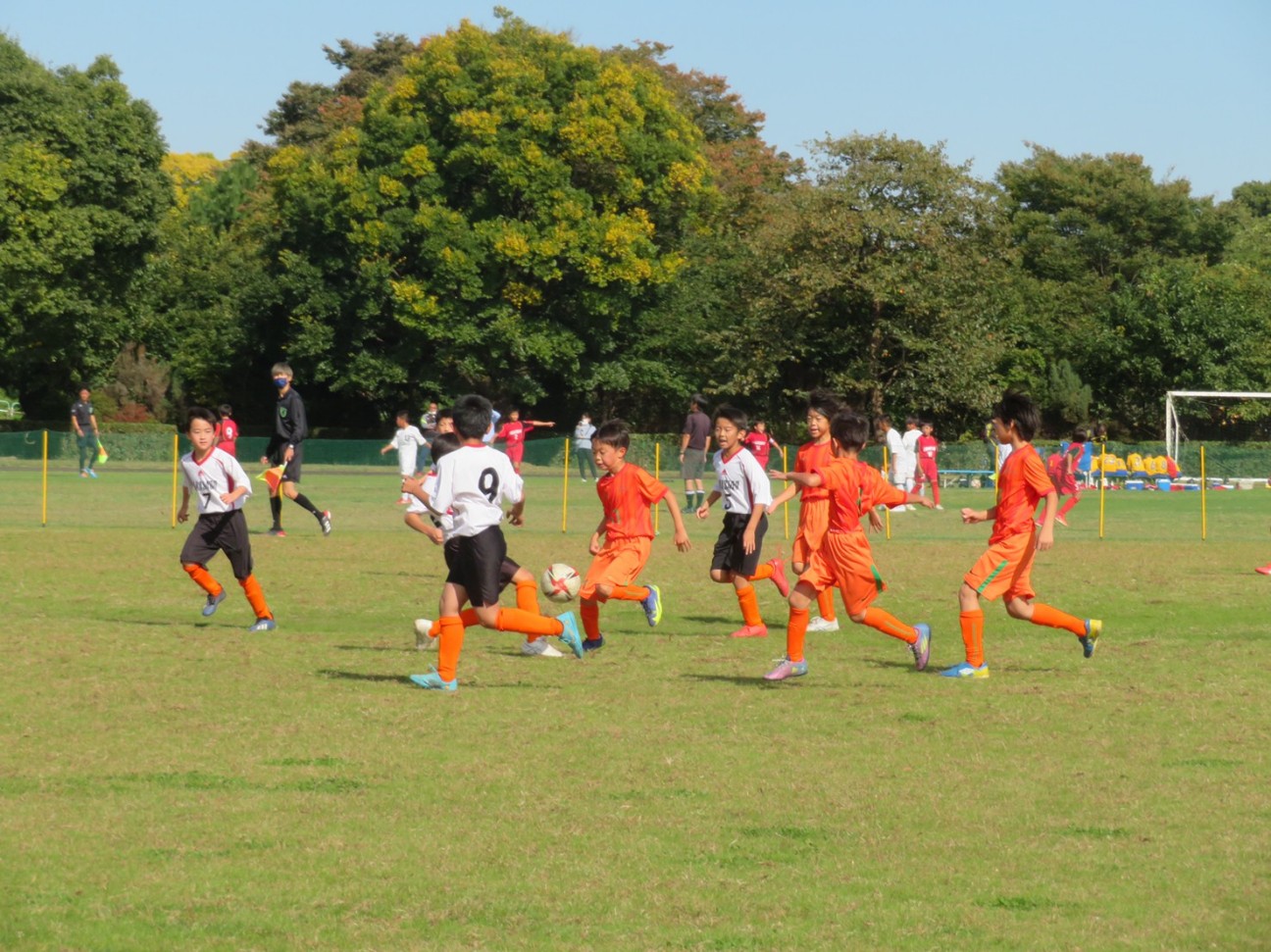 f:id:BESSHO:20221030213328j:image