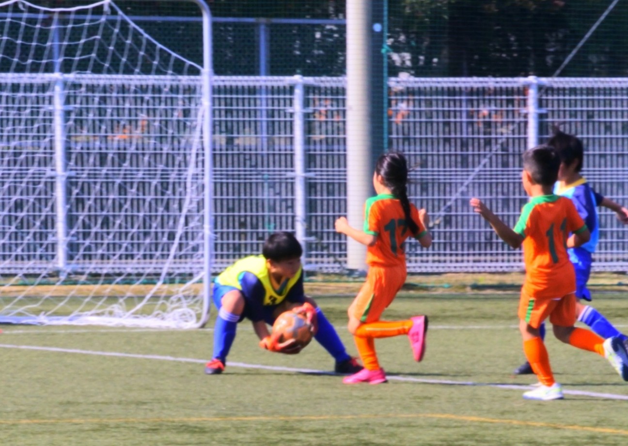 f:id:BESSHO:20221103200514j:image