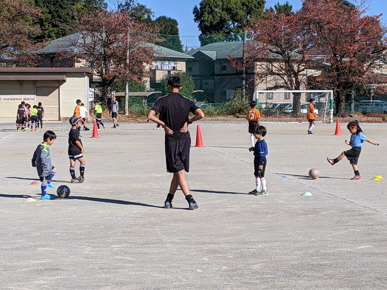 f:id:BESSHO:20221106204150j:image f:id:BESSHO:20221106204150j:image