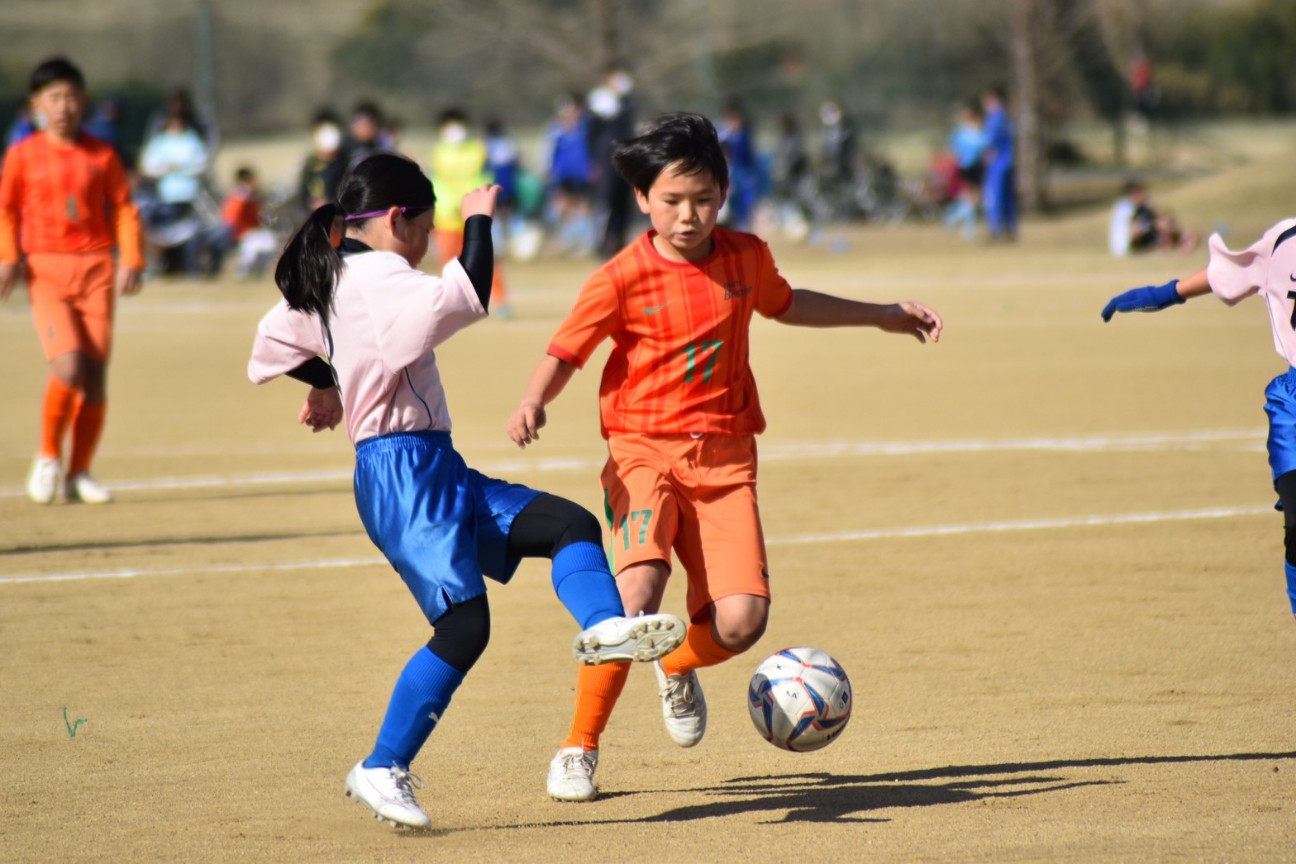 f:id:BESSHO:20230304225201j:image