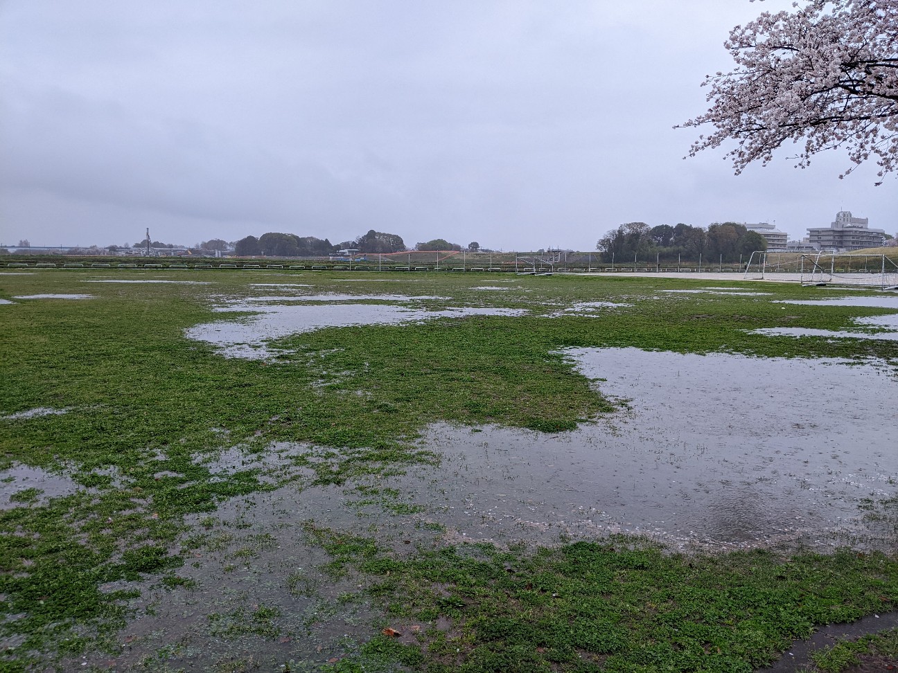 f:id:BESSHO:20230325120845j:image