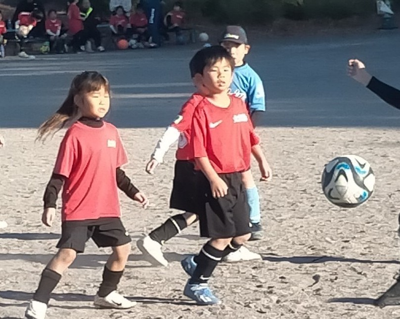 f:id:BESSHO:20231203224248j:image f:id:BESSHO:20231203224248j:image