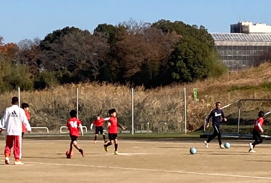 f:id:BESSHO:20231209221856j:image