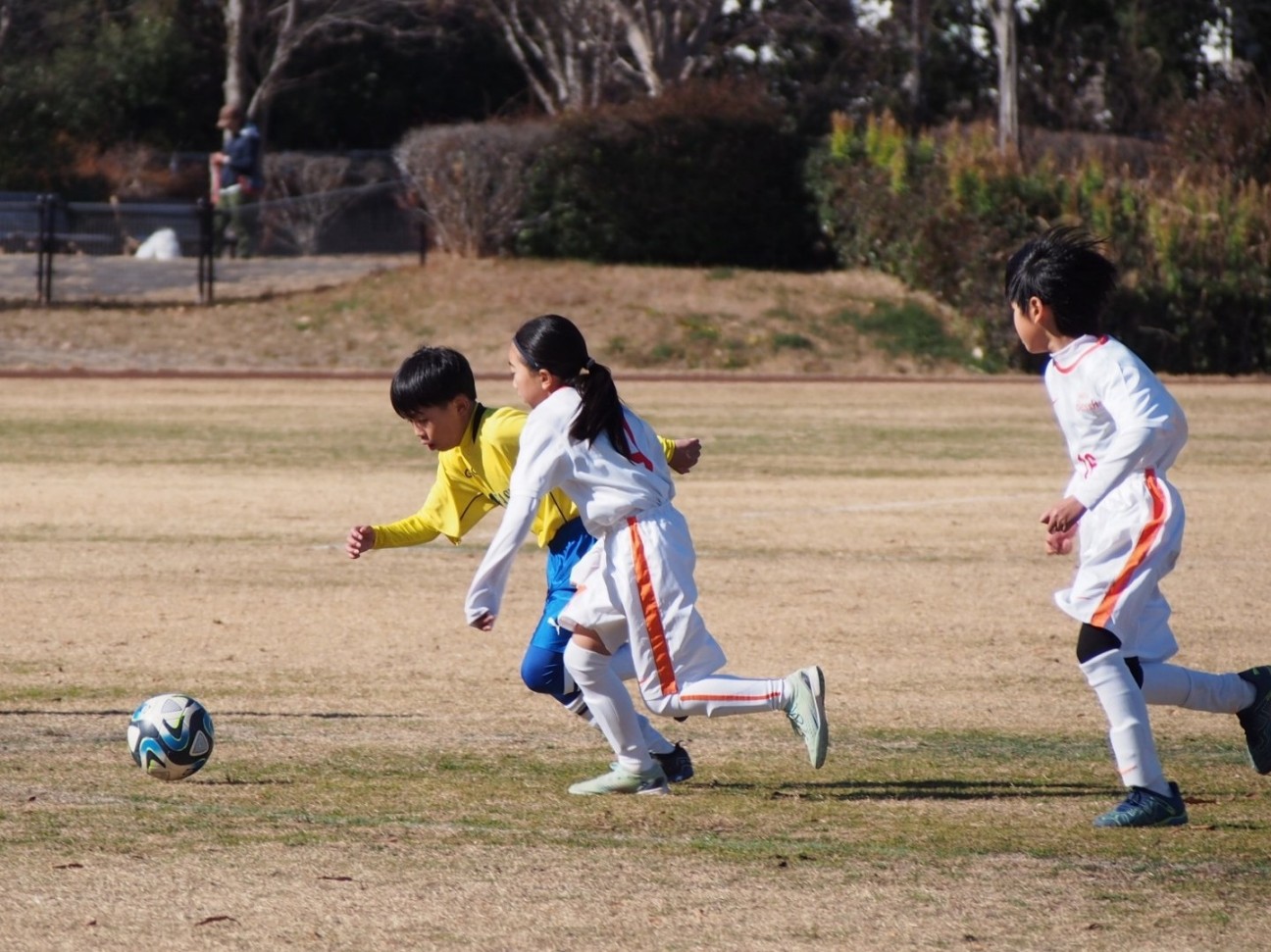 f:id:BESSHO:20240114225210j:image