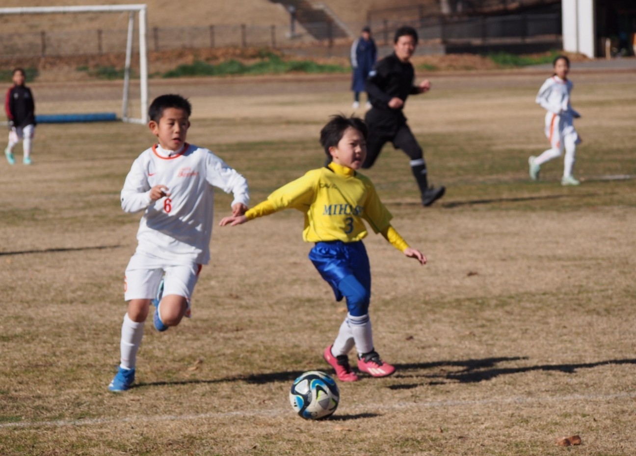 f:id:BESSHO:20240114225410j:image