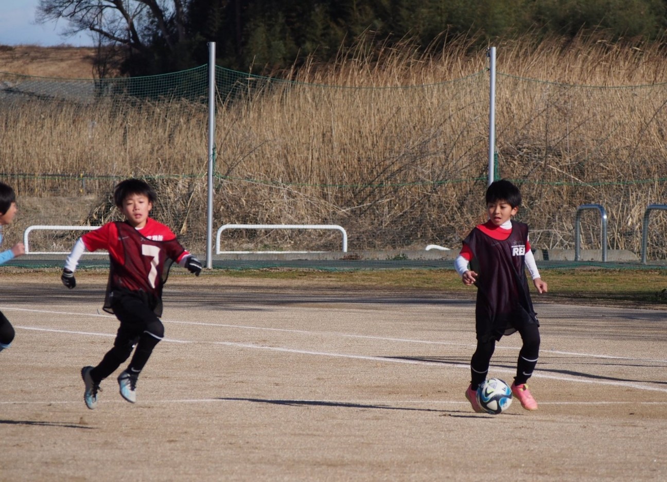 f:id:BESSHO:20240128093259j:image