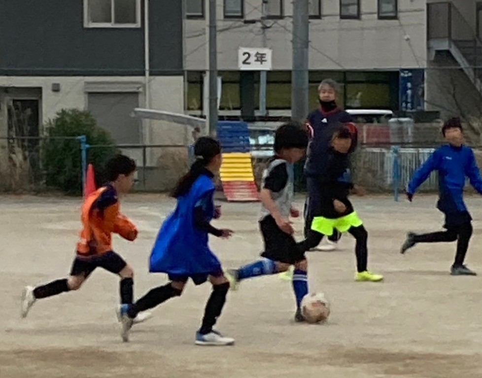 f:id:BESSHO:20240217231424j:image