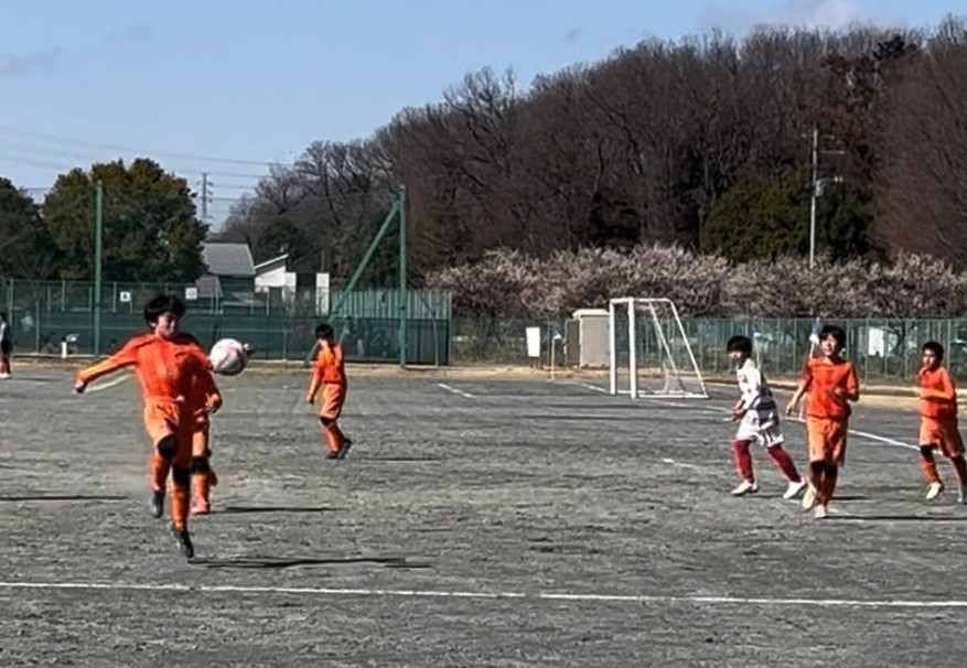 f:id:BESSHO:20240225001604j:image