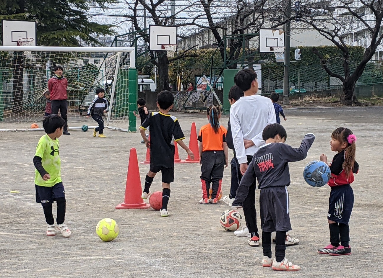 f:id:BESSHO:20240324231130j:image