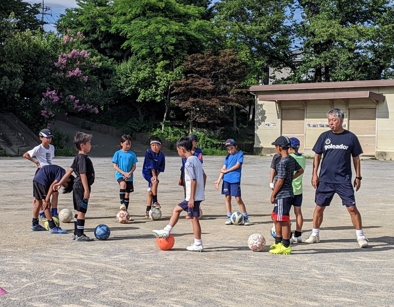 f:id:BESSHO:20240728231857j:image