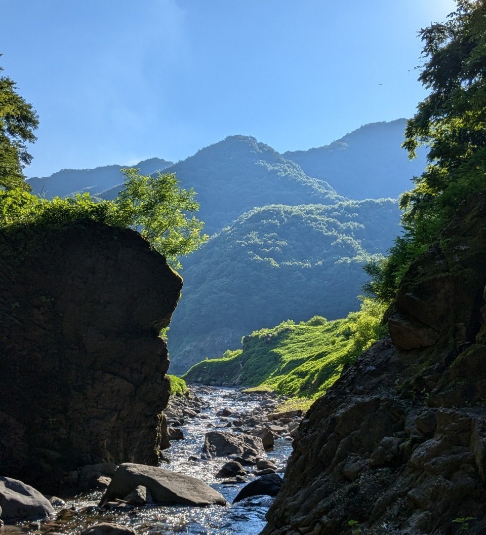 f:id:BESSHO:20240803003910j:image