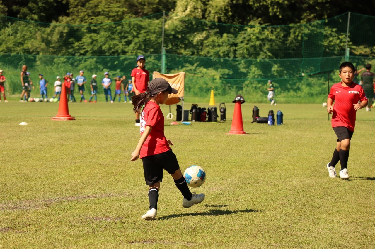 f:id:BESSHO:20240803005818j:image