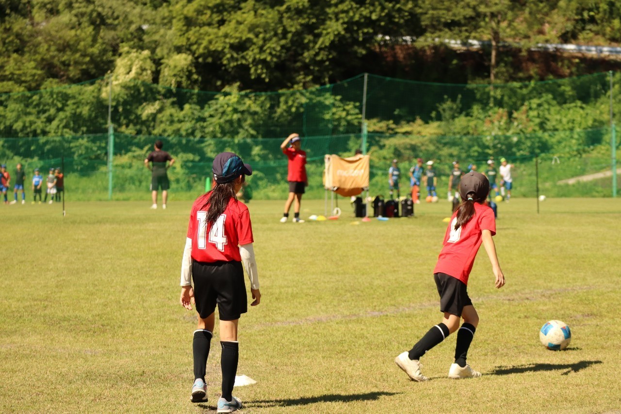 f:id:BESSHO:20240803005914j:image