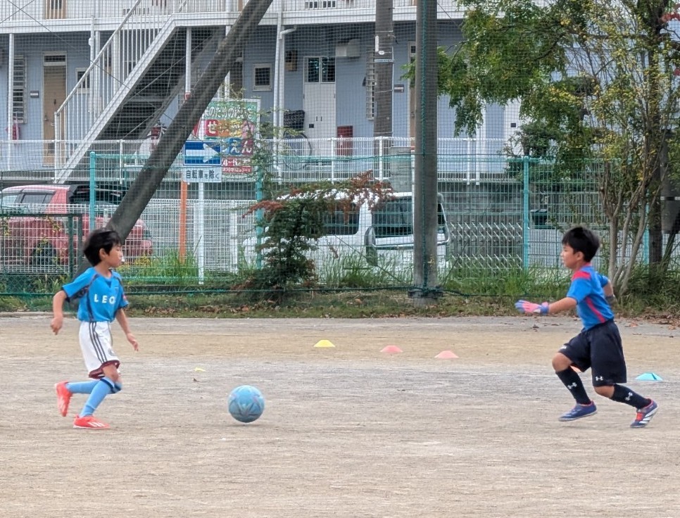 f:id:BESSHO:20241026204832j:image f:id:BESSHO:20241026204832j:image