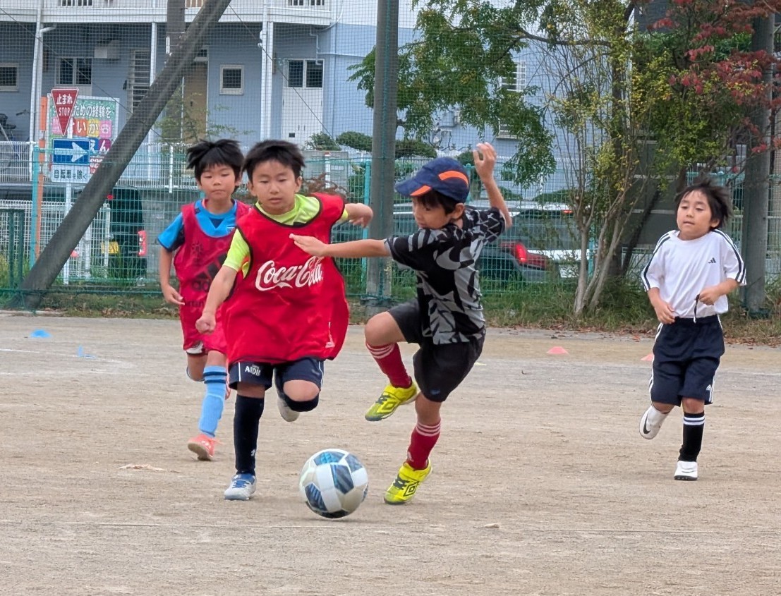 f:id:BESSHO:20241026204848j:image f:id:BESSHO:20241026204848j:image