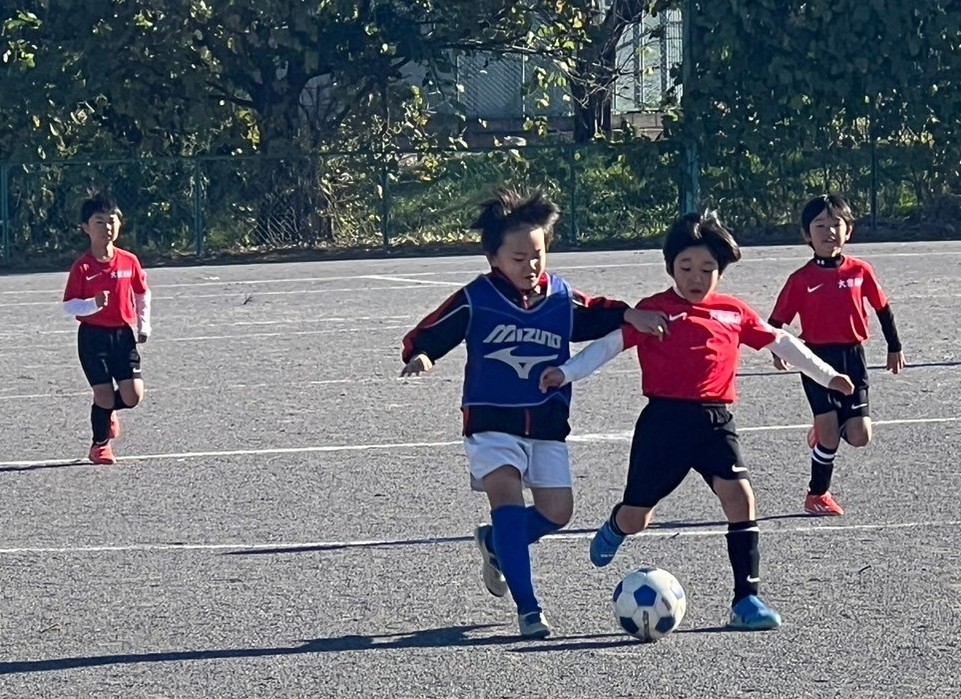 f:id:BESSHO:20241109204016j:image