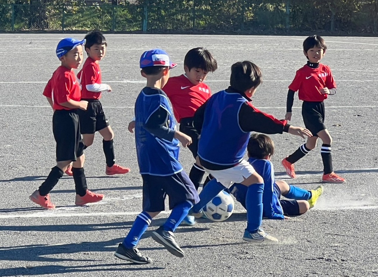 f:id:BESSHO:20241109204233j:image