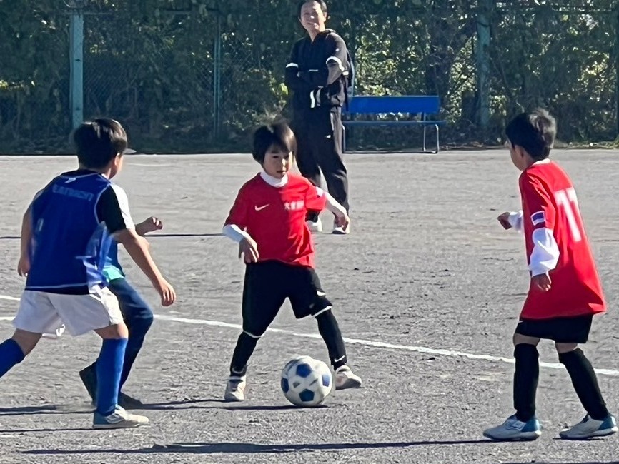 f:id:BESSHO:20241109204521j:image