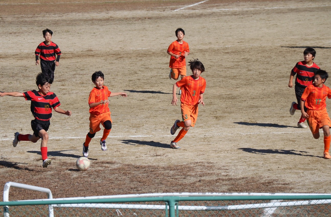 f:id:BESSHO:20241117211826j:image f:id:BESSHO:20241117211826j:image