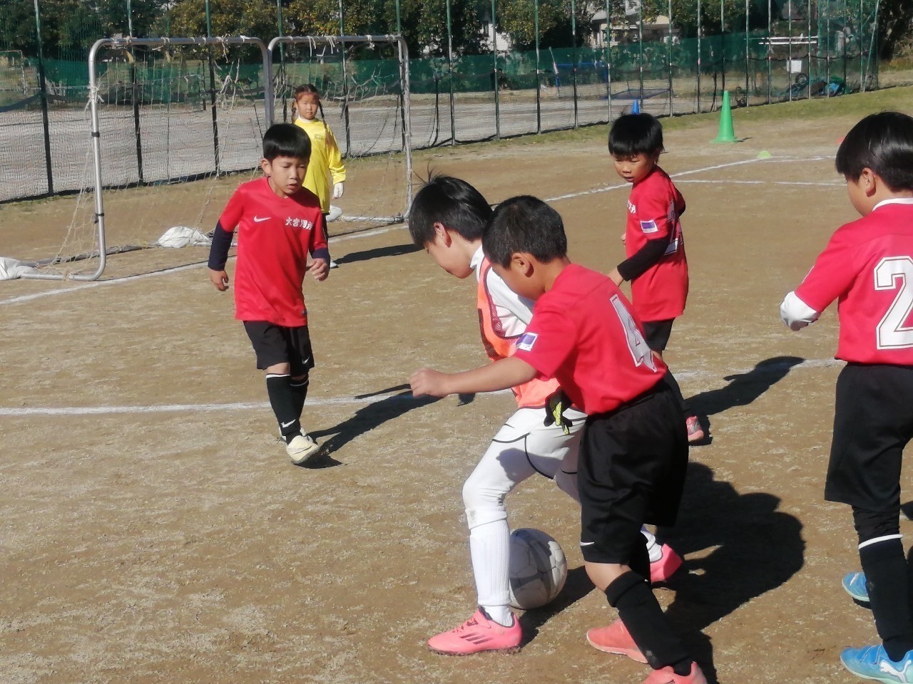f:id:BESSHO:20241201204335j:image