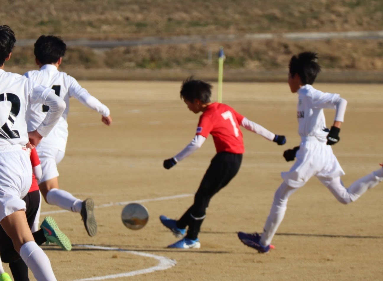 f:id:BESSHO:20241215204024j:image