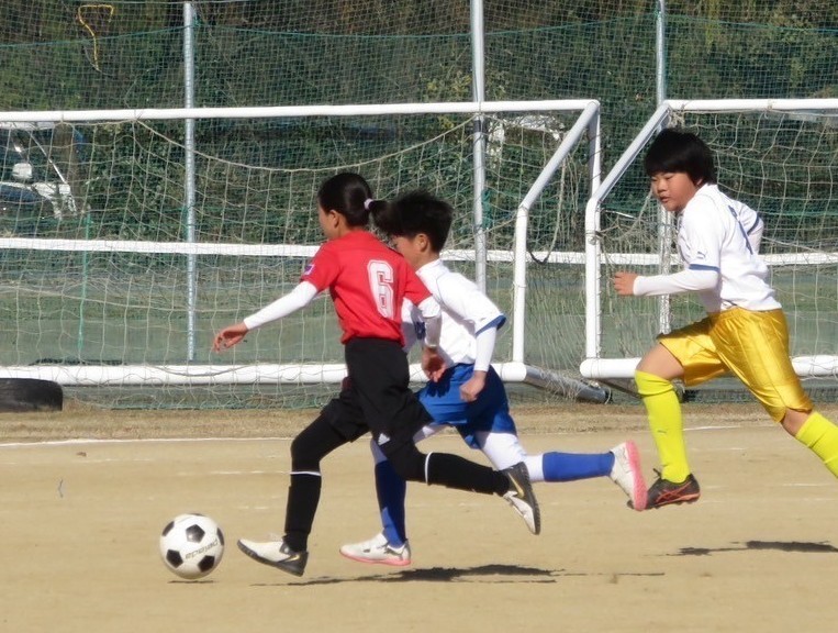 f:id:BESSHO:20241215211931j:image