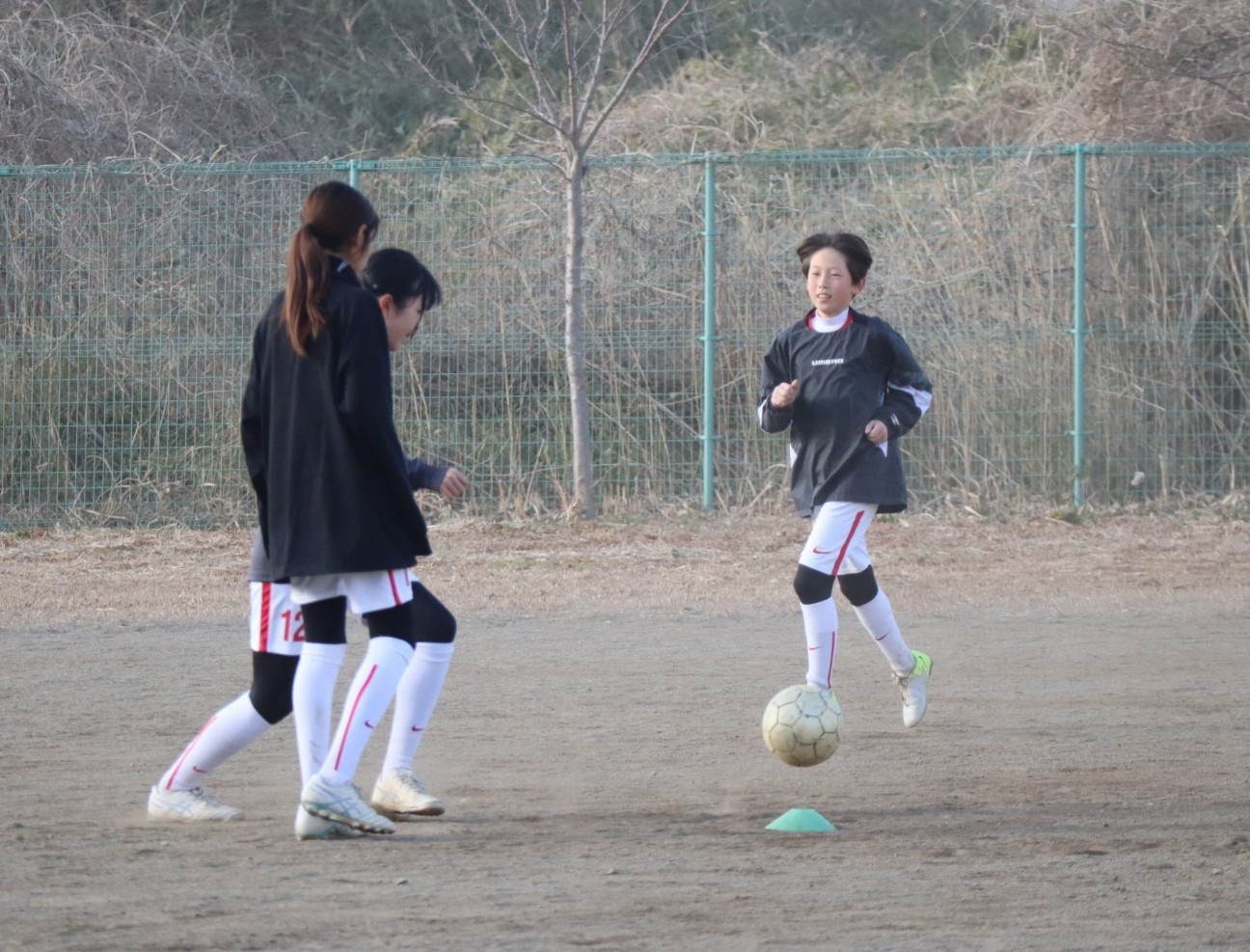 f:id:BESSHO:20250216214337j:image