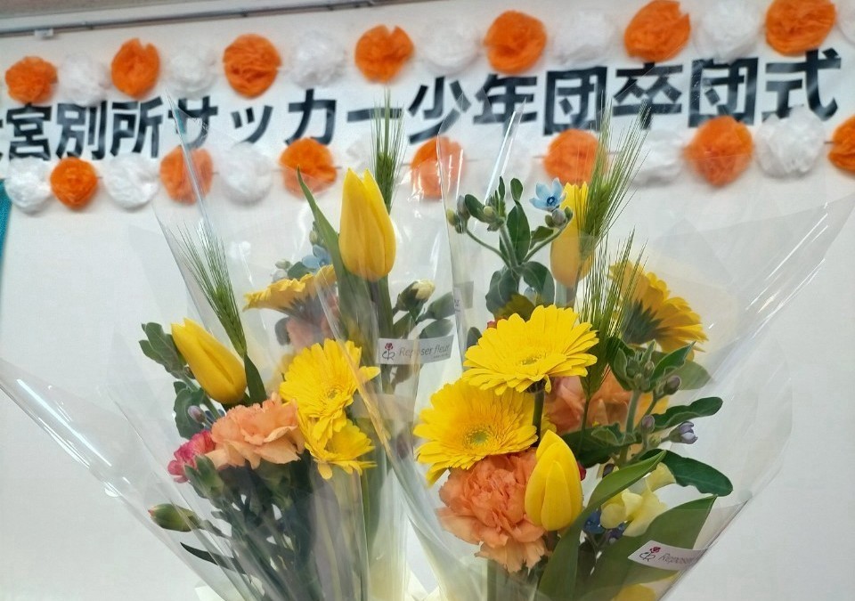 f:id:BESSHO:20250316201449j:image f:id:BESSHO:20250316201449j:image