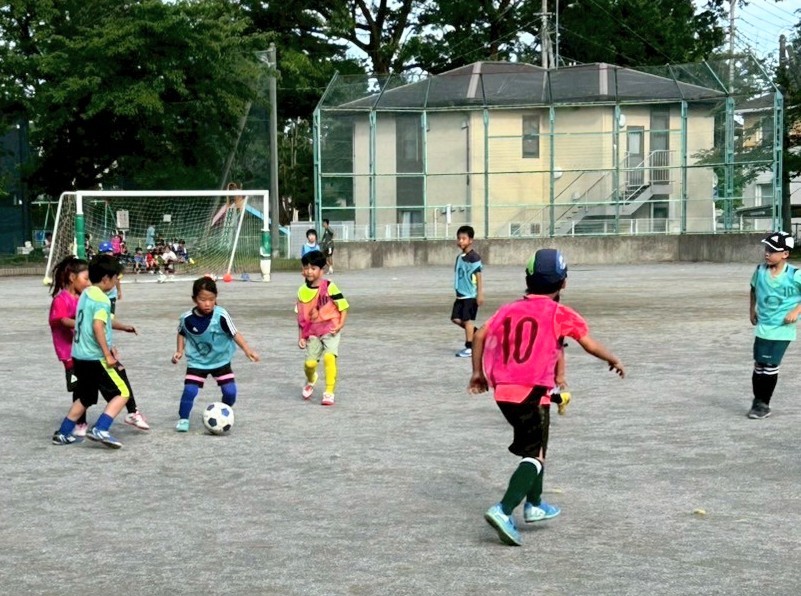 f:id:BESSHO:20250615235310j:image