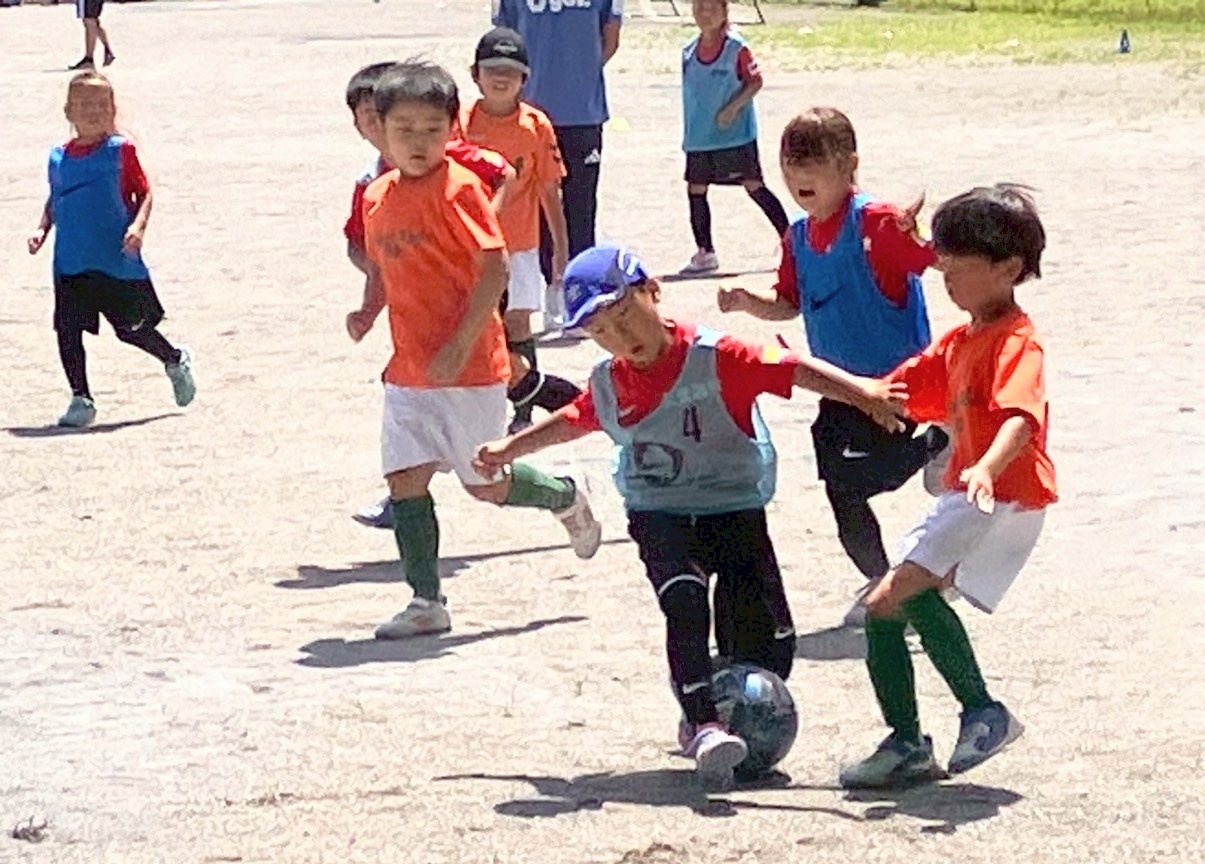 f:id:BESSHO:20250628211039j:image