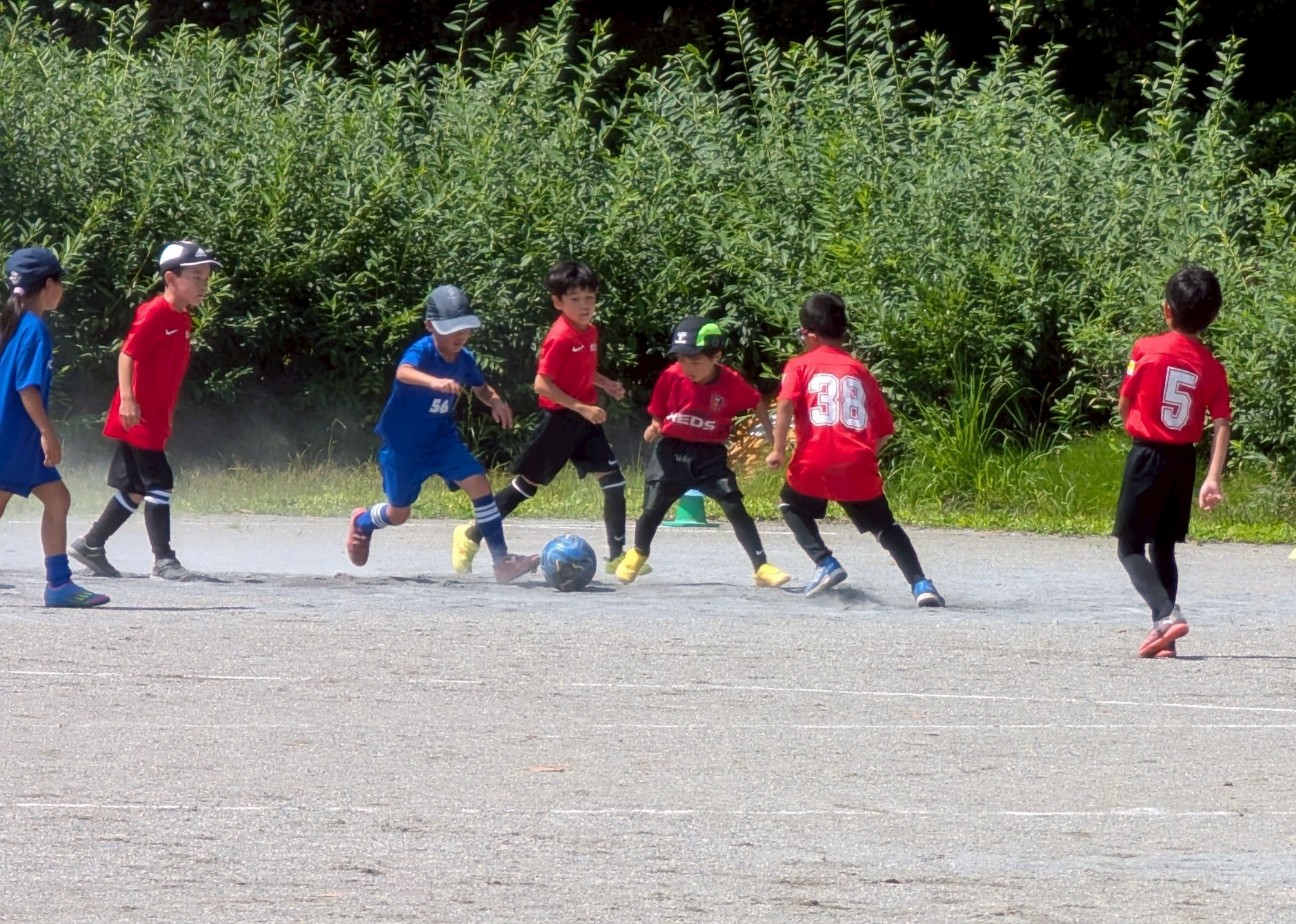 f:id:BESSHO:20250628214949j:image