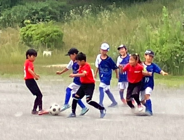 f:id:BESSHO:20250705215349j:image